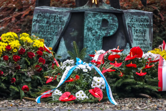 bs_201111_0771.jpg-11 Listopada,Kwiaty