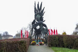 bs_201111_0776.jpg-11 Listopada,Kwiaty