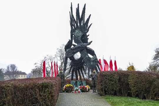 bs_201111_0776.jpg-11 Listopada,Kwiaty