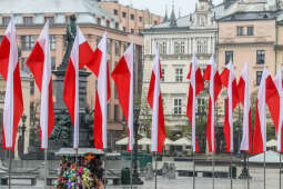 bs_201111_0784.jpg-11 Listopada,Kwiaty