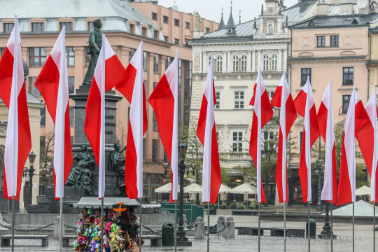 bs_201111_0784.jpg-11 Listopada,Kwiaty