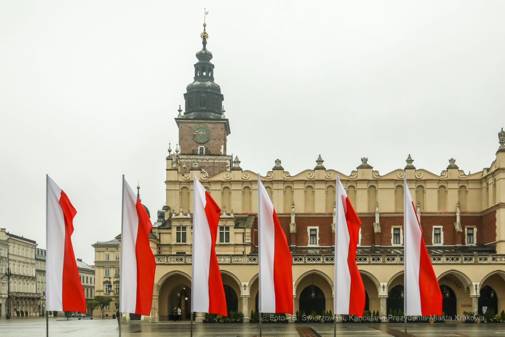 bs_201111_0791.jpg-11 Listopada,Kwiaty  Autor: B. Świerzowski