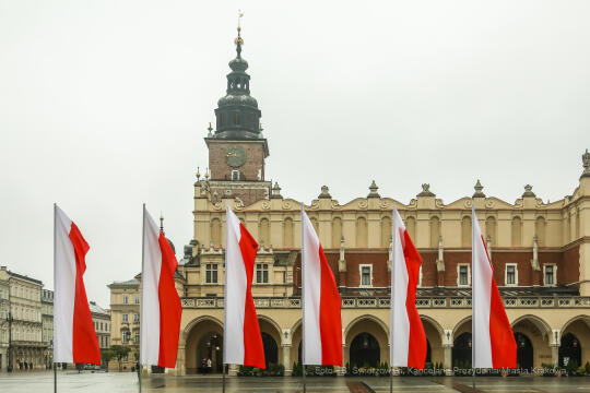 bs_201111_0791.jpg-11 Listopada,Kwiaty