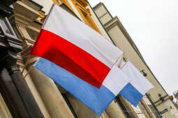 bs_201111_0839.jpg-11 Listopada,Kwiaty