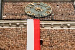 bs_201111_0862.jpg-11 Listopada,Kwiaty