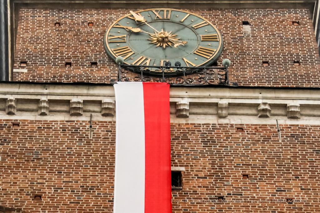 bs_201111_0862.jpg-11 Listopada,Kwiaty  Autor: B. Świerzowski