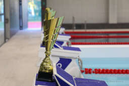 bs_201119_1558.jpg-Basen,Korfel,SP5