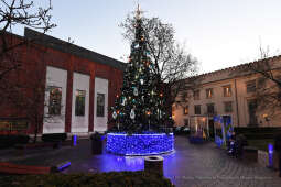 02jpg.jpg-dekoracje świąteczne