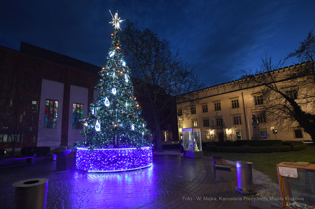 45jpg.jpg  Autor: W. Majka