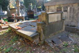 cmentarz Rakowicki, nagrobek Csesznaków przed renowacją