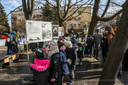 bs_210129_5495.jpg-Wystawa, Papcio Chmiel,