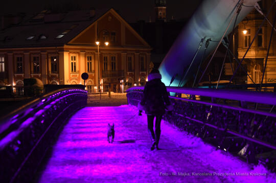 08jpg.jpg-fioletowa kładka