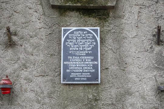 bs_210312_8312.jpg-Marsz, Kwiaty, Majchrowski, Likwidacja Getta