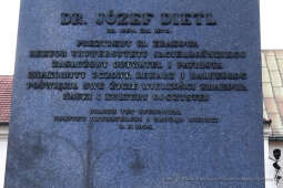 07jpg.jpg-Złożenie kwiatów pod pomnikiem Józefa Dietla