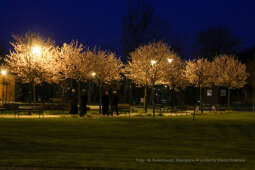 bs_210427_1511.jpg-Centrum JPII, Majchrowski, Iluminacja