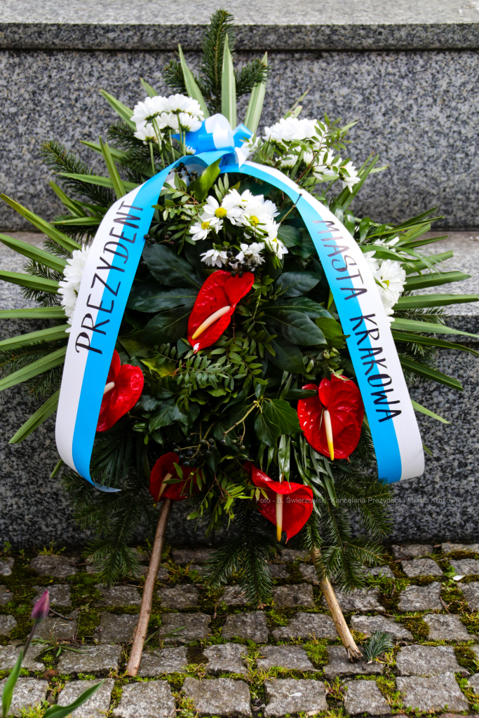 bs_210503_1857.jpg-Pomnik Rejtana,3 Maja, Uroczystości  Autor: B. Świerzowski