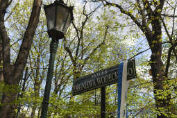 001jpg.jpg-Skwer Zbigniewa Wodeckiego