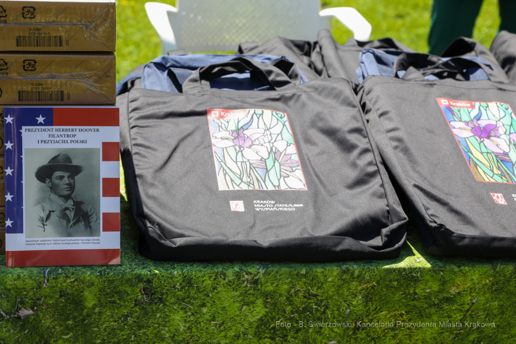 bs_210511_2956.jpg-Hoover Table,Parkowa,Sabatowicz  Autor: B. Świerzowski