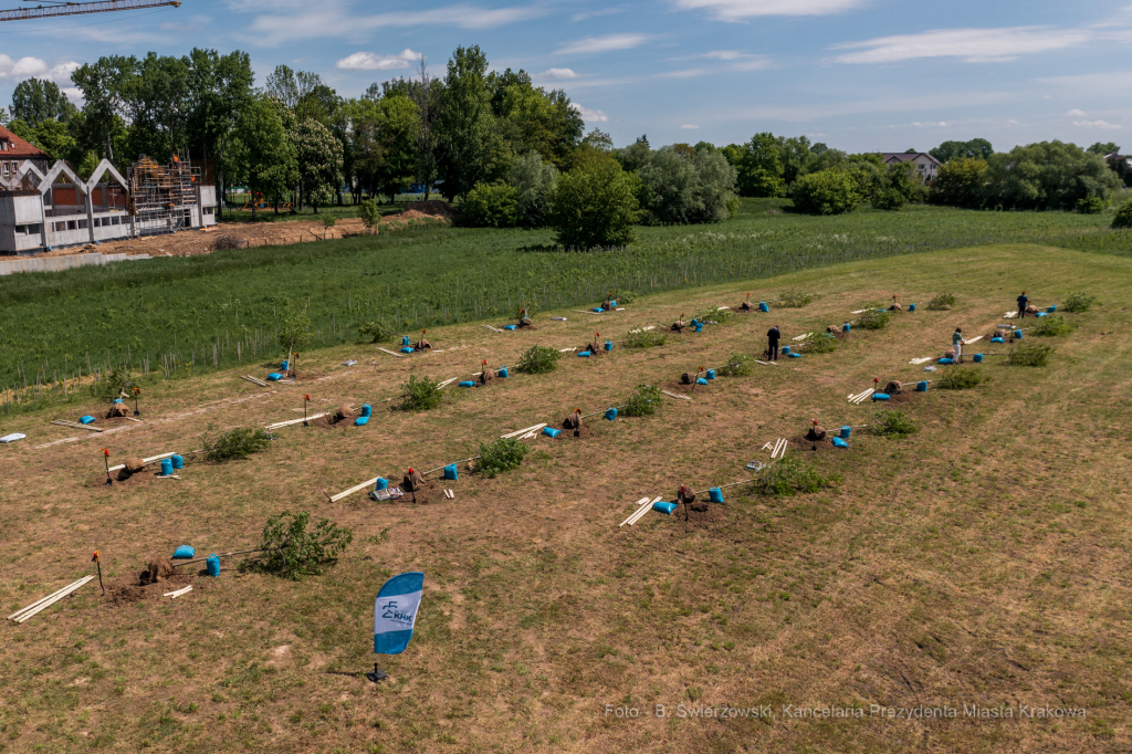 bs_210527_0001.jpg-KHK, Dęby, Majchrowski, Trzmiel  Autor: B. Świerzowski