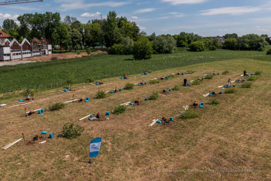 bs_210527_0001.jpg-KHK, Dęby, Majchrowski, Trzmiel