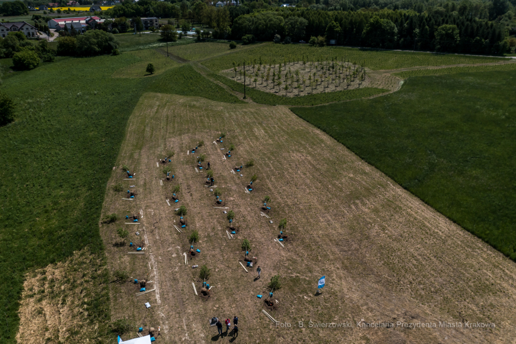 bs_210527_0014.jpg-KHK, Dęby, Majchrowski, Trzmiel  Autor: B. Świerzowski