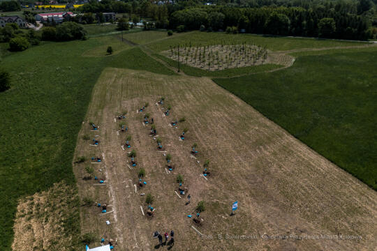 bs_210527_0014.jpg-KHK, Dęby, Majchrowski, Trzmiel