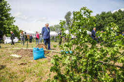 bs_210527_0943.jpg-KHK, Dęby, Majchrowski, Trzmiel