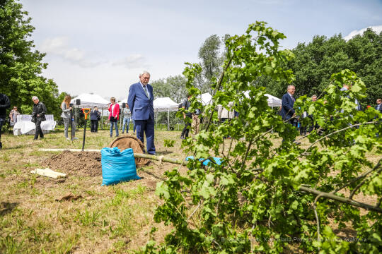 bs_210527_0943.jpg-KHK, Dęby, Majchrowski, Trzmiel