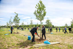 bs_210527_1038.jpg-KHK, Dęby, Majchrowski, Trzmiel