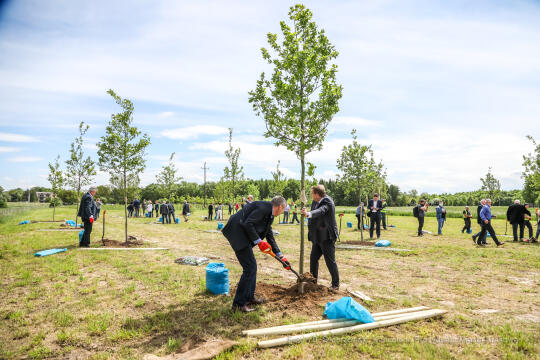 bs_210527_1038.jpg-KHK, Dęby, Majchrowski, Trzmiel