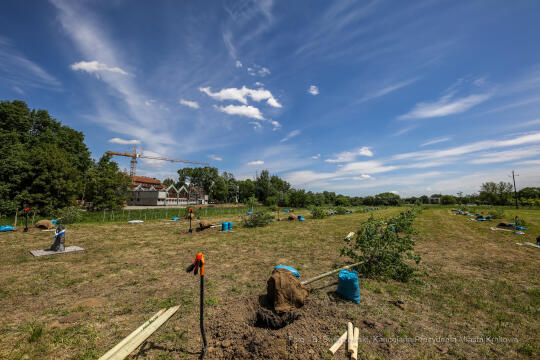 bs_210527_4741.jpg-KHK, Dęby, Majchrowski, Trzmiel