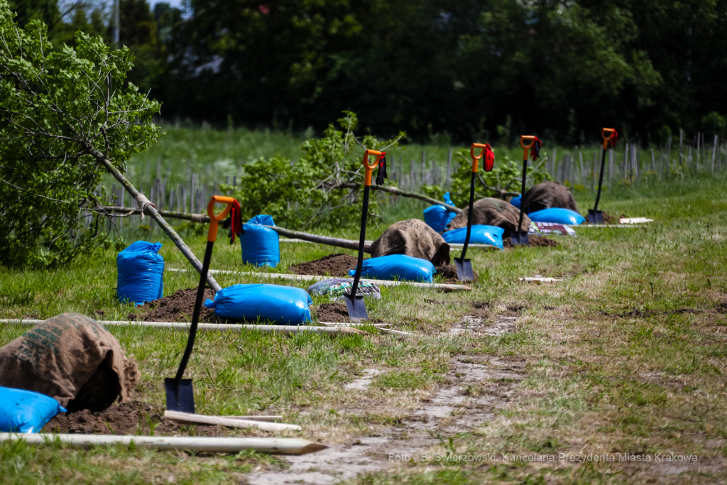bs_210527_4841.jpg-KHK, Dęby, Majchrowski, Trzmiel  Autor: B. Świerzowski