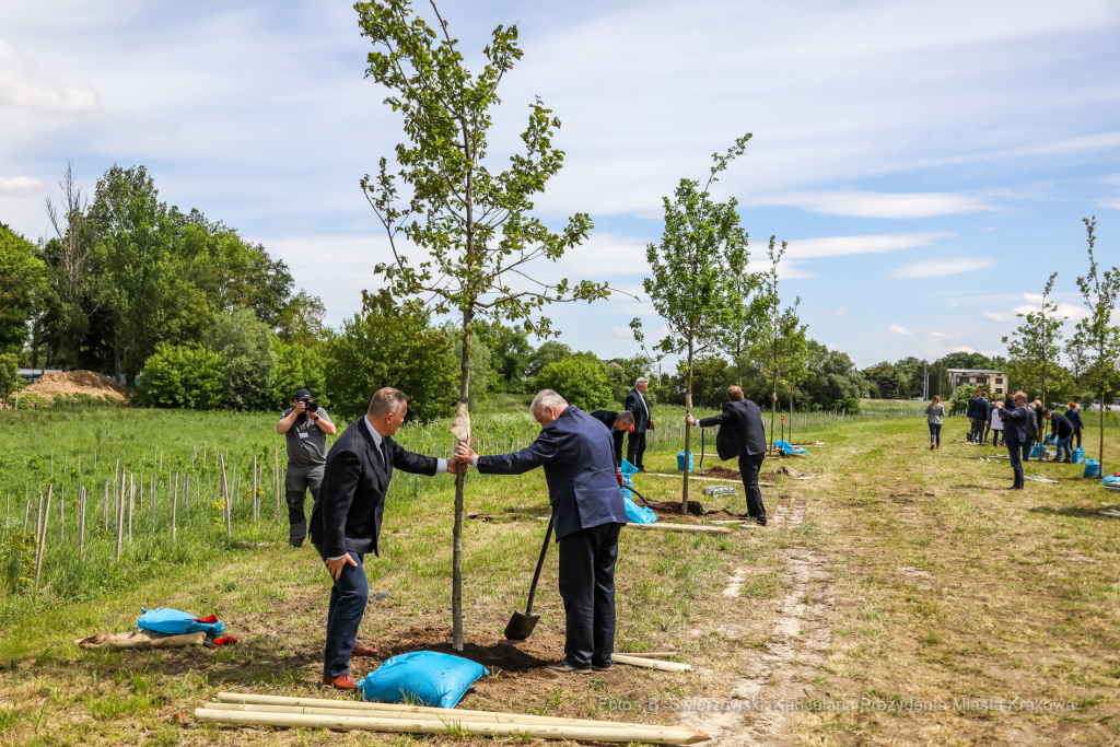 bs_210527_4981.jpg-KHK, Dęby, Majchrowski, Trzmiel  Autor: B. Świerzowski