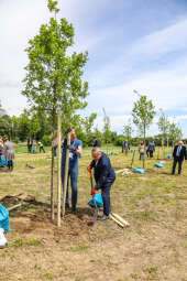bs_210527_4994.jpg-KHK, Dęby, Majchrowski, Trzmiel