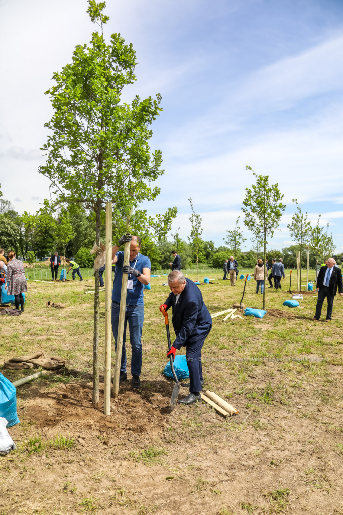 bs_210527_4994.jpg-KHK, Dęby, Majchrowski, Trzmiel  Autor: B. Świerzowski