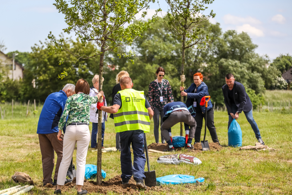 bs_210527_5013.jpg-KHK, Dęby, Majchrowski, Trzmiel  Autor: B. Świerzowski