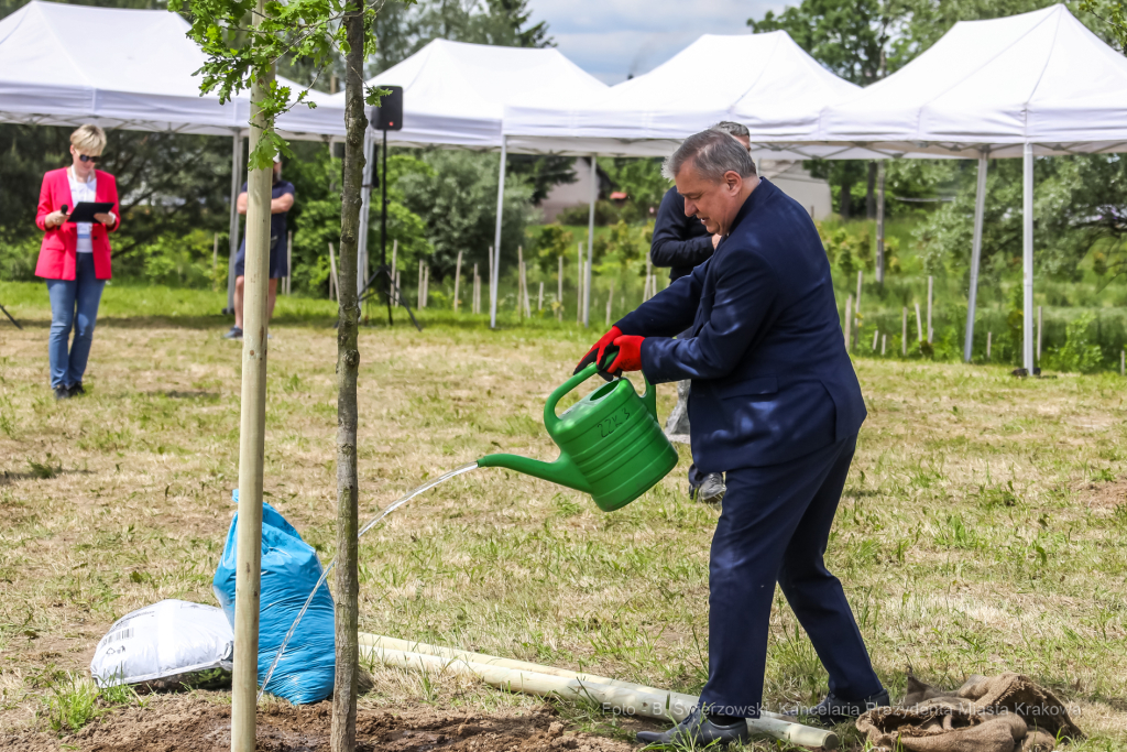bs_210527_5020.jpg-KHK, Dęby, Majchrowski, Trzmiel  Autor: B. Świerzowski