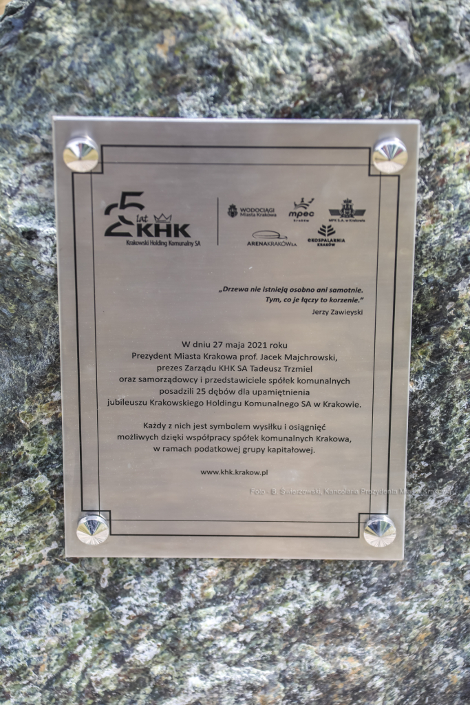 bs_210527_5054.jpg-KHK, Dęby, Majchrowski, Trzmiel  Autor: B. Świerzowski