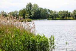 bs_210527_1062.jpg-Przylasek Rusiecki, Majchrowski, Wizyta