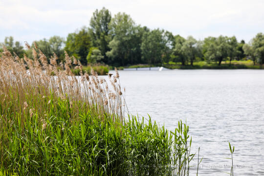 bs_210527_1062.jpg-Przylasek Rusiecki, Majchrowski, Wizyta