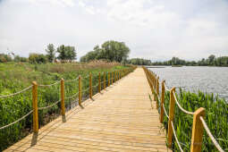 bs_210527_1076.jpg-Przylasek Rusiecki, Majchrowski, Wizyta