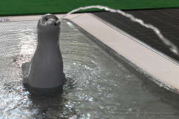 006jpg.jpg-Otwarcie basenu przy Szkole Podstawowej nr 155