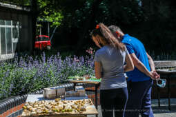 bs_210609_3293.jpg-Makiety, Dąsal