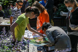 bs_210609_3319.jpg-Makiety, Dąsal