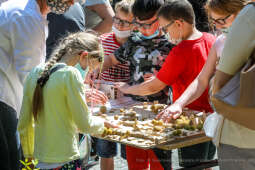 bs_210609_3356.jpg-Makiety, Dąsal