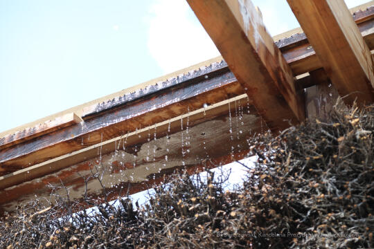 bs_210627_06-33.jpg-Piknik Chorwacki, Kośmider