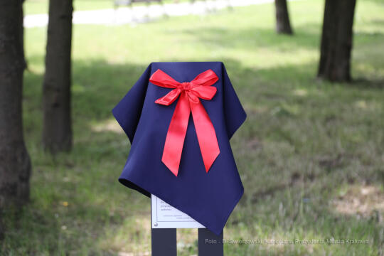 bs_210627_06.jpg-Piknik Chorwacki, Kośmider