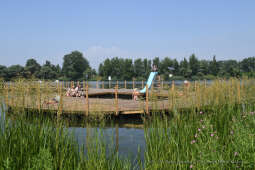 099jpg.jpg-Przylasek Rusiecki