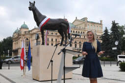 011jpg.jpg-Rzeźba konia