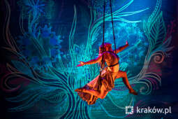 jg1_210710_krpl_202a1446.jpg-34. Ulica Festival